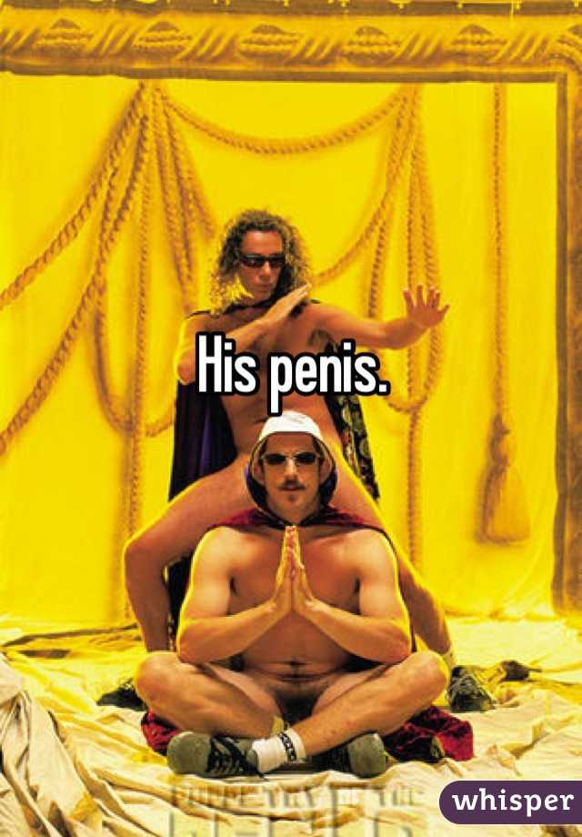 His penis.