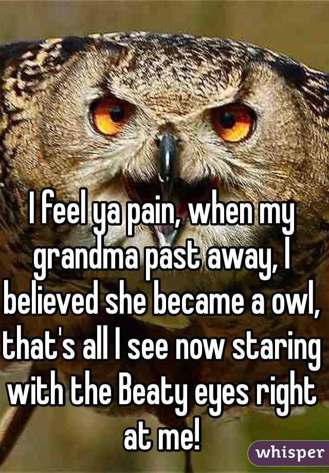 I feel ya pain, when my grandma past away, I believed she became a owl, that's all I see now staring with the Beaty eyes right at me!