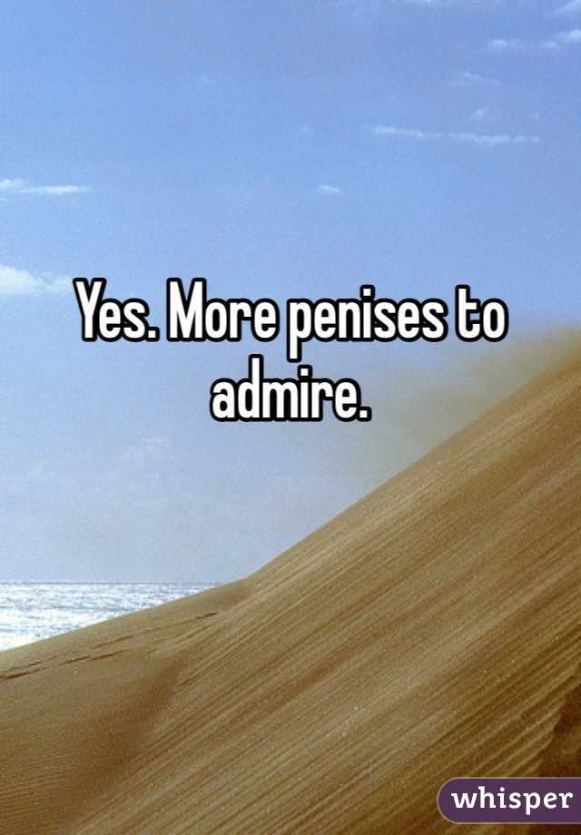 Yes. More penises to admire.