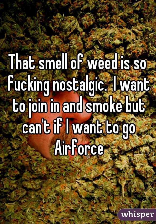 That smell of weed is so fucking nostalgic.  I want to join in and smoke but can't if I want to go Airforce