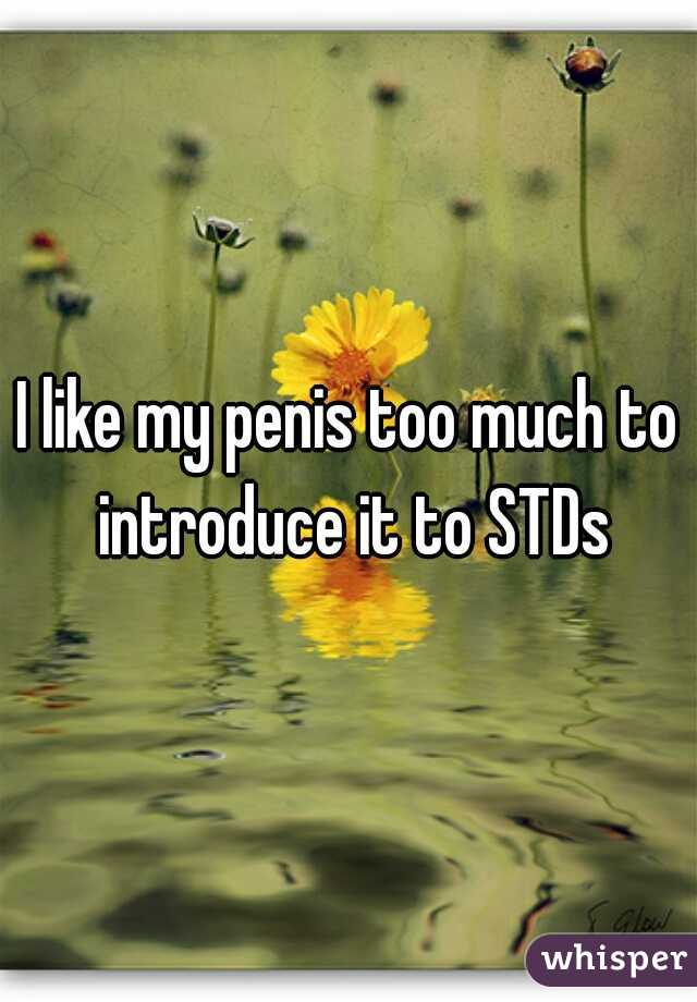 I like my penis too much to introduce it to STDs