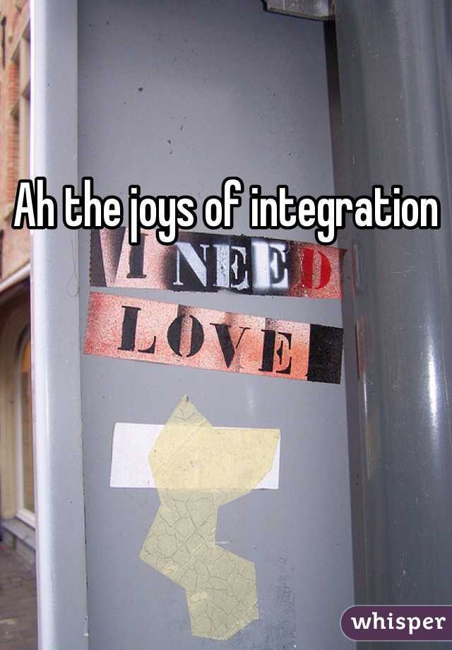 Ah the joys of integration 