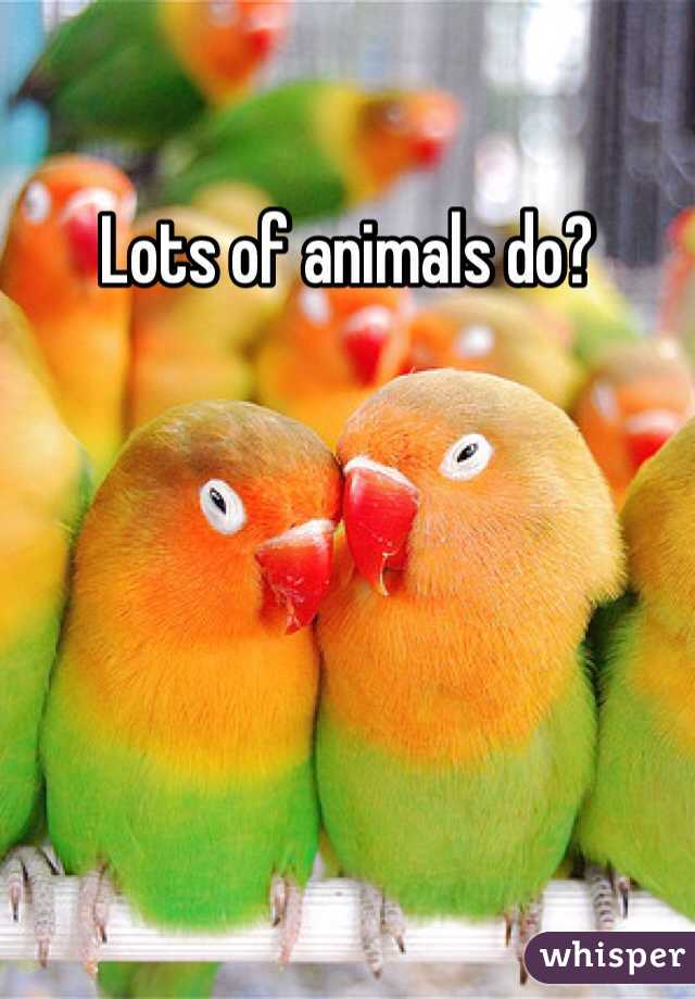 Lots of animals do?