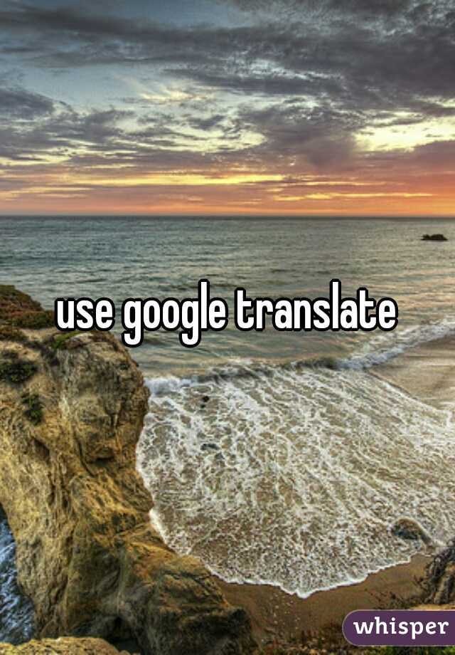 use google translate