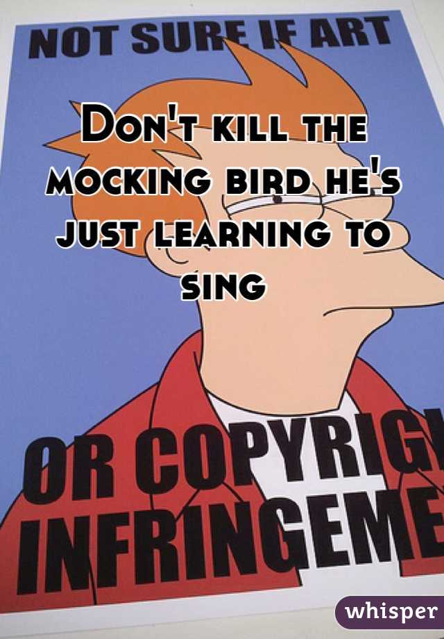 Don't kill the mocking bird he's just learning to sing