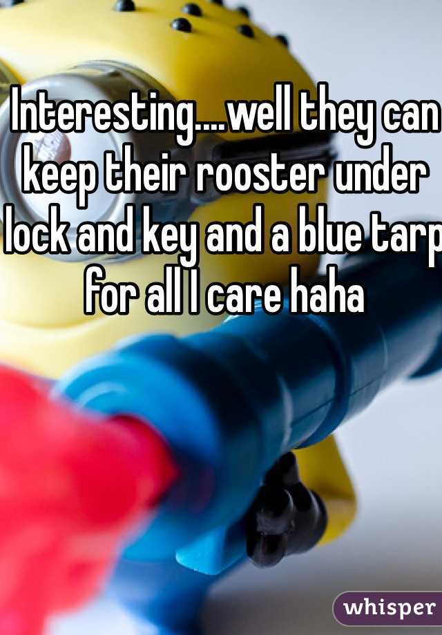 Interesting....well they can keep their rooster under lock and key and a blue tarp for all I care haha