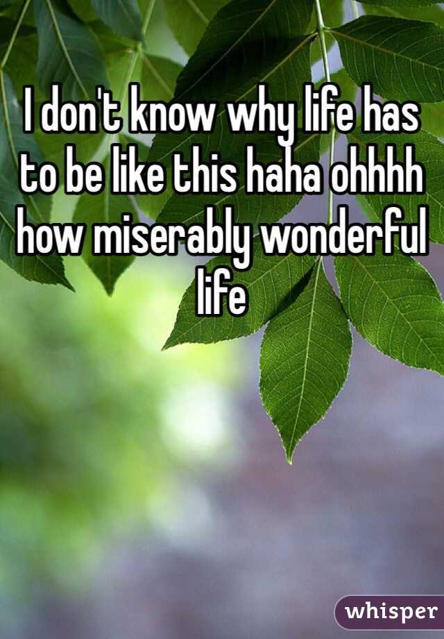 I don't know why life has to be like this haha ohhhh how miserably wonderful life 