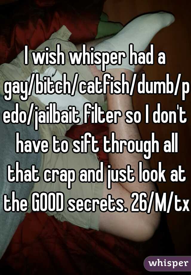 I wish whisper had a gay/bitch/catfish/dumb/pedo/jailbait filter so I don't have to sift through all that crap and just look at the GOOD secrets. 26/M/tx