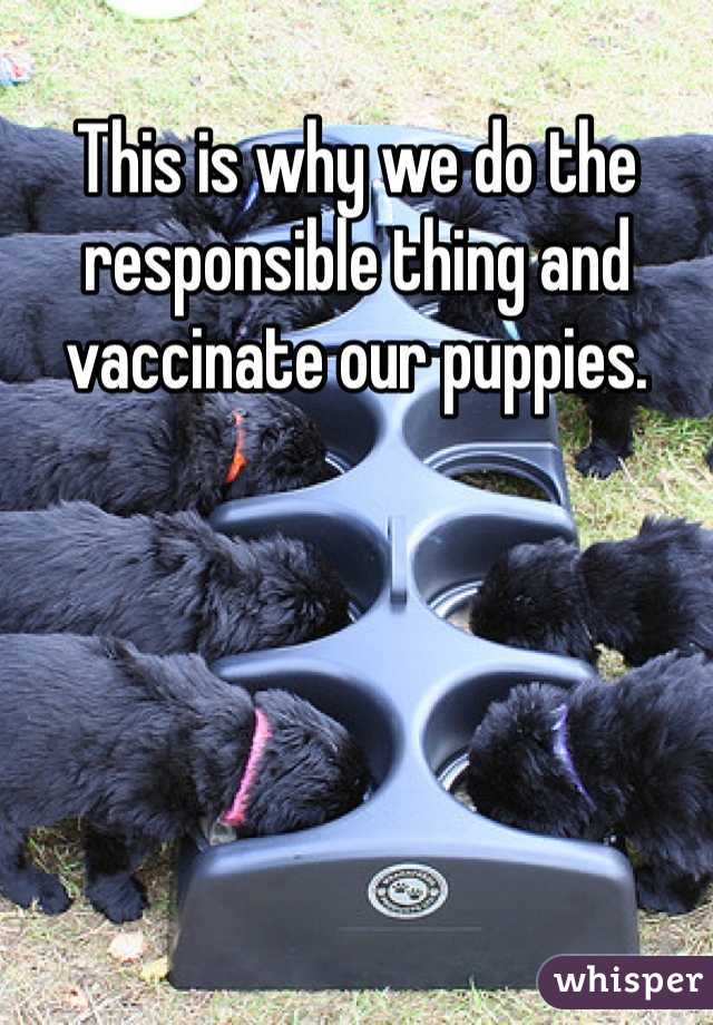 This is why we do the responsible thing and vaccinate our puppies. 