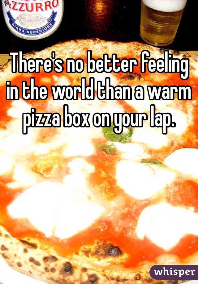 There's no better feeling in the world than a warm pizza box on your lap.
