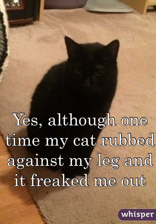 Yes, although one time my cat rubbed against my leg and it freaked me out