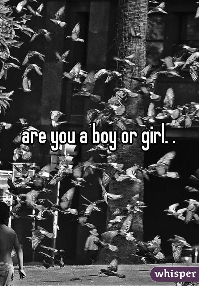 are you a boy or girl. .