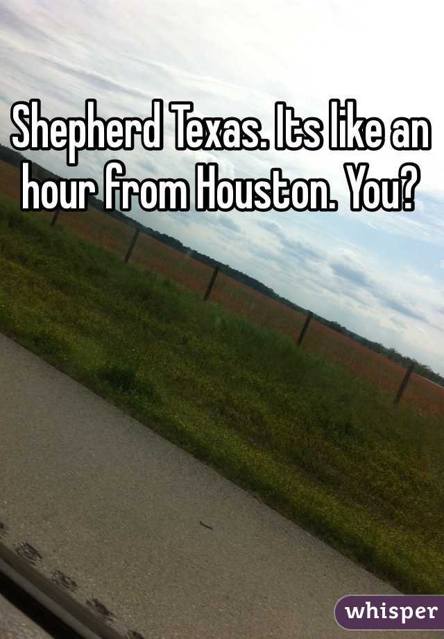 Shepherd Texas. Its like an hour from Houston. You?