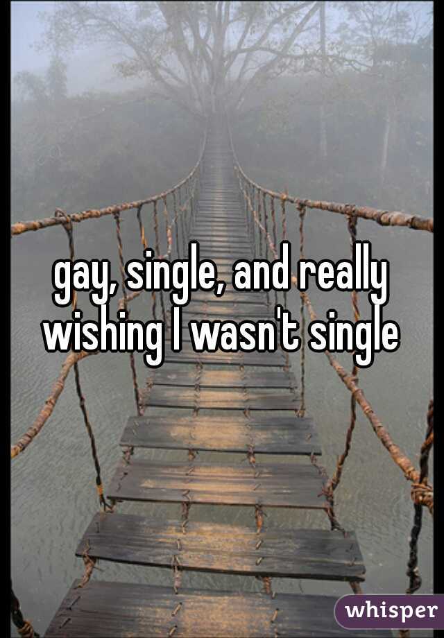 gay, single, and really wishing I wasn't single 