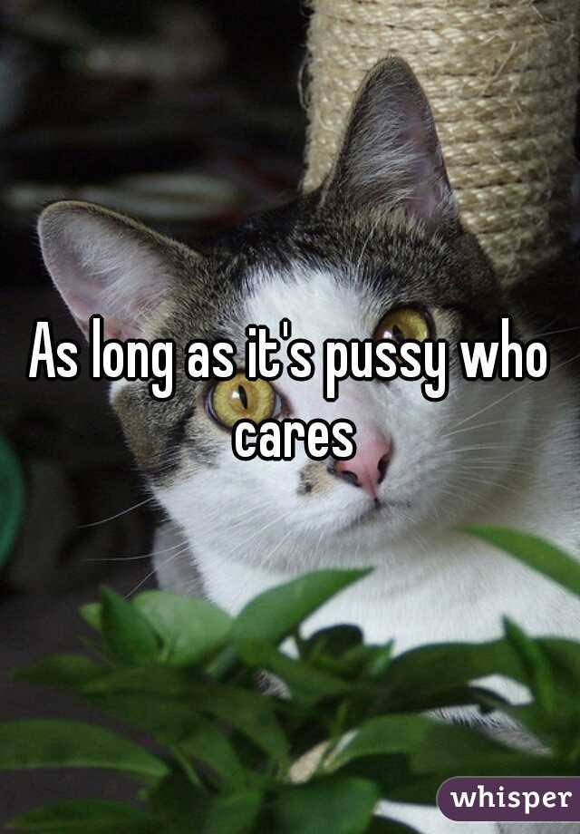 As long as it's pussy who cares