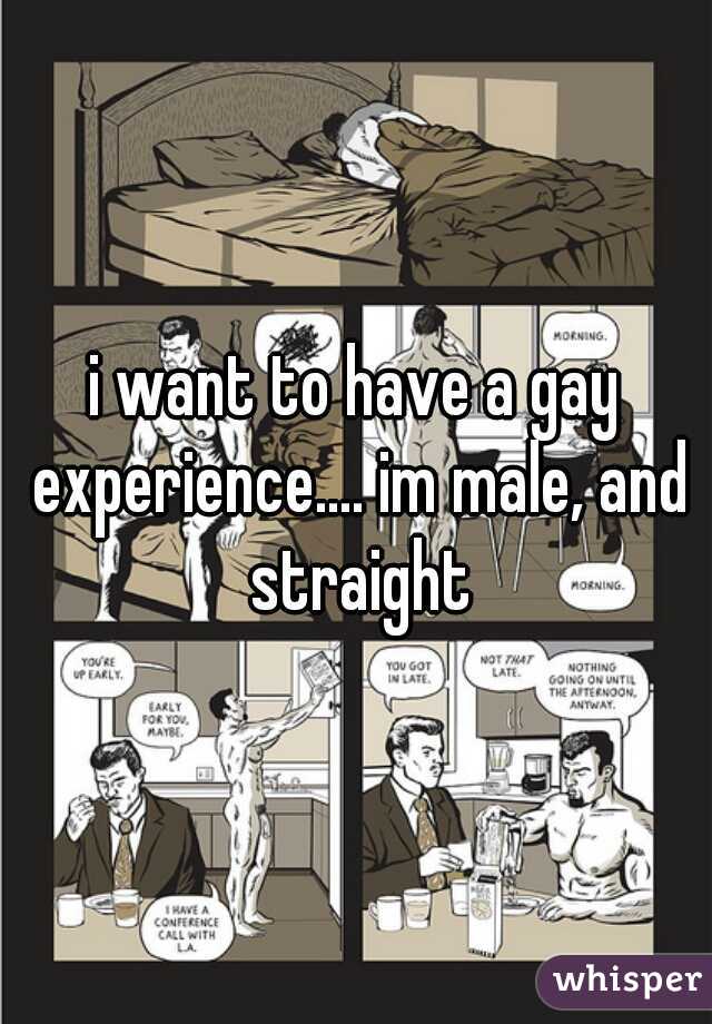 i want to have a gay experience.... im male, and straight
 
