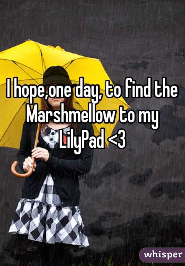 I hope,one day, to find the Marshmellow to my LilyPad <3