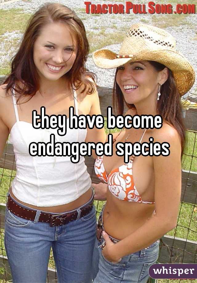 they have become endangered species
