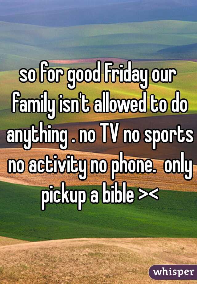 so for good Friday our family isn't allowed to do anything . no TV no sports no activity no phone.  only pickup a bible ><