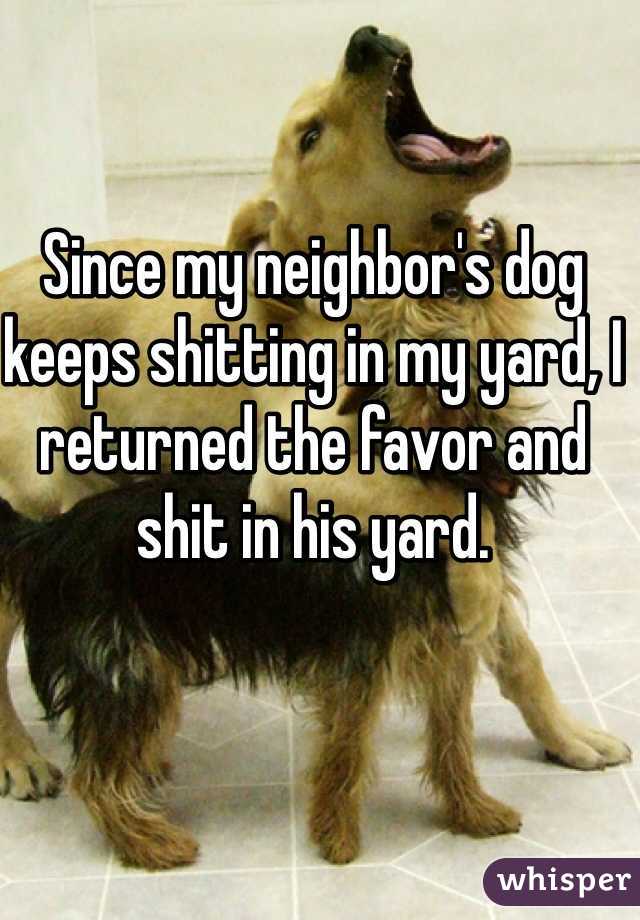 Since my neighbor's dog keeps shitting in my yard, I returned the favor and shit in his yard.