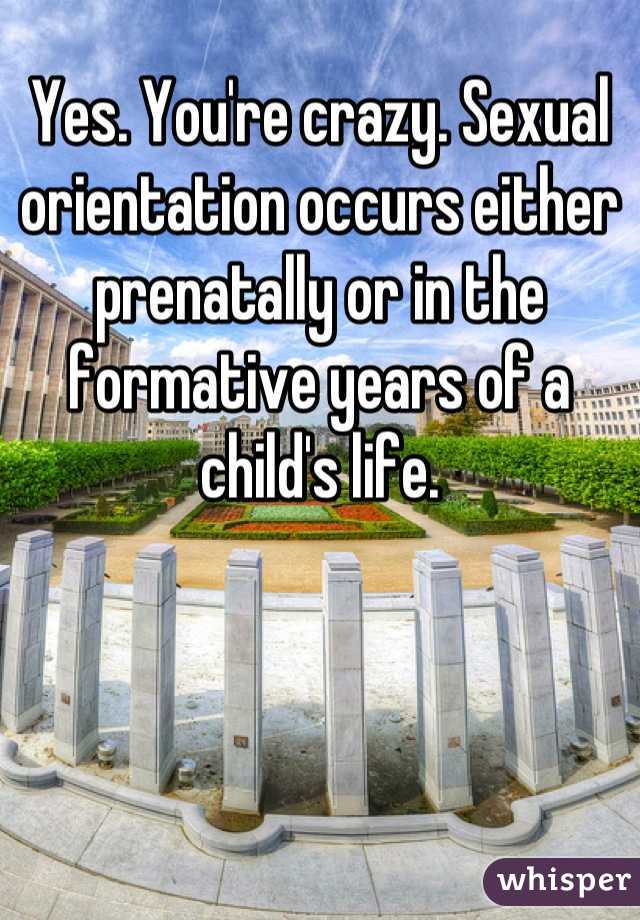 Yes. You're crazy. Sexual orientation occurs either prenatally or in the formative years of a child's life.