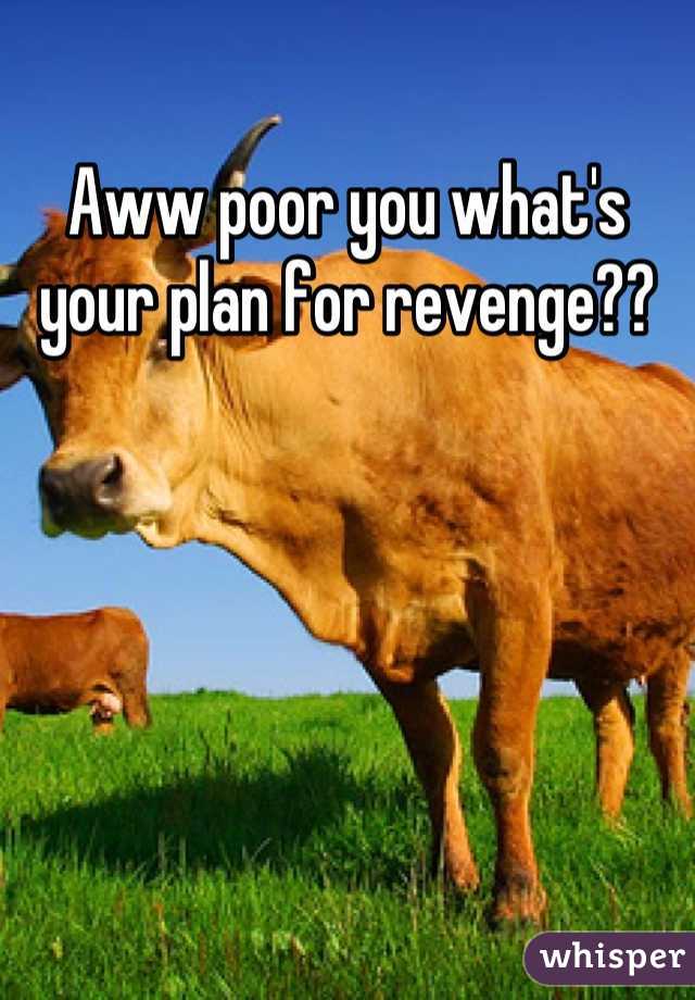 Aww poor you what's your plan for revenge??