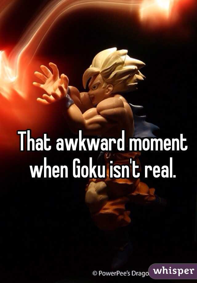 That awkward moment when Goku isn't real.