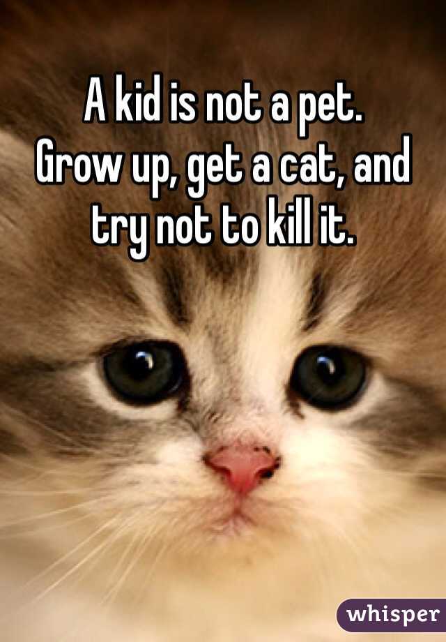 A kid is not a pet. 
Grow up, get a cat, and try not to kill it. 