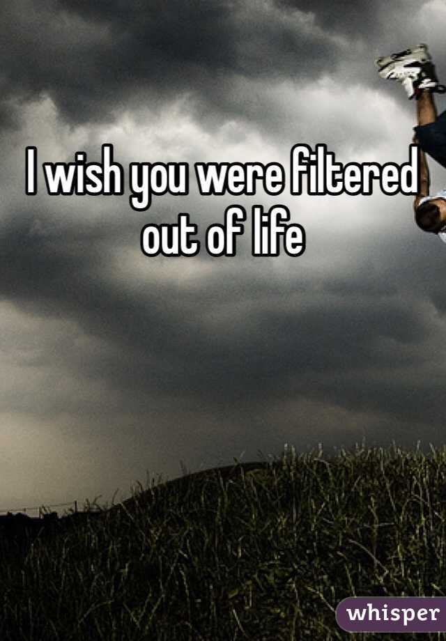 I wish you were filtered out of life