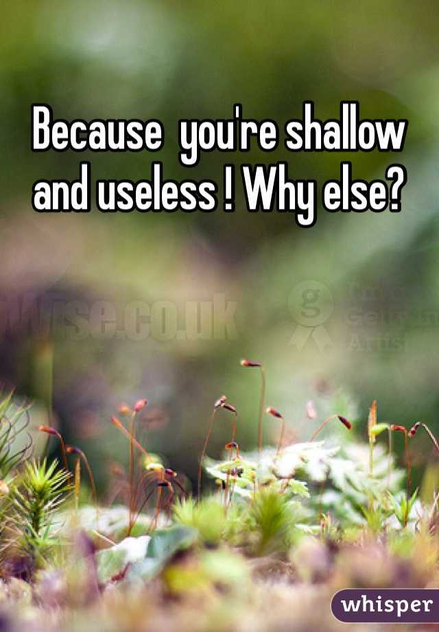 Because  you're shallow and useless ! Why else?