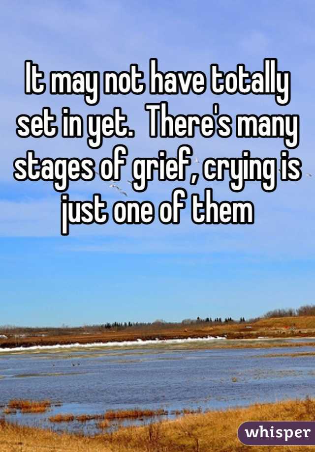It may not have totally set in yet.  There's many stages of grief, crying is just one of them