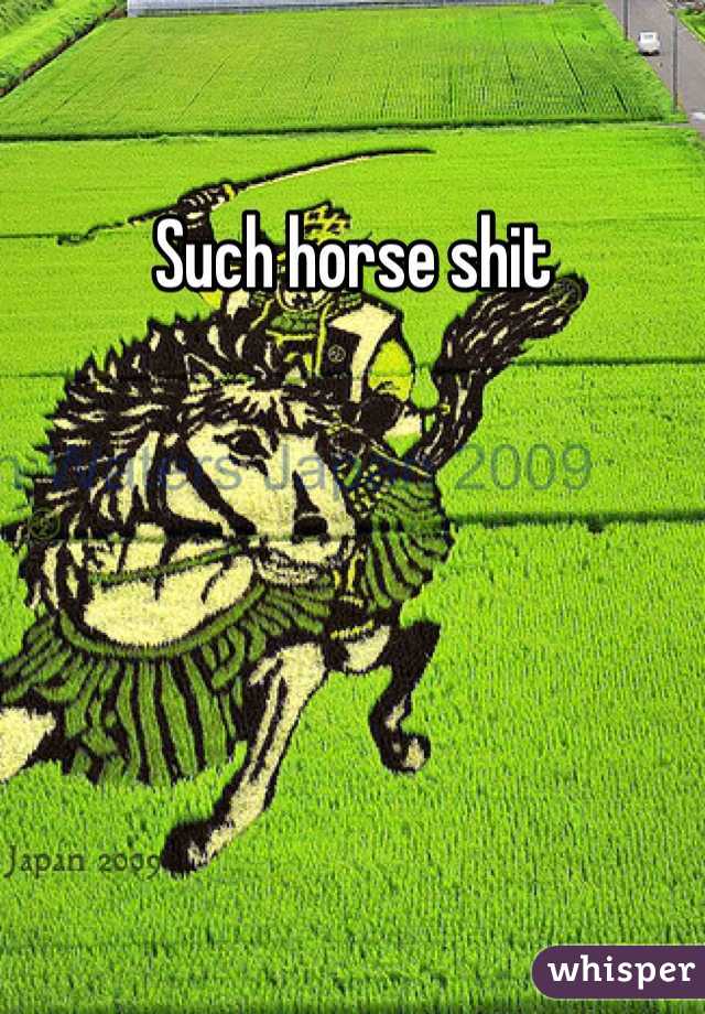 Such horse shit