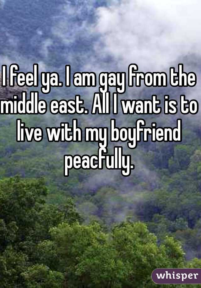 I feel ya. I am gay from the middle east. All I want is to live with my boyfriend peacfully.