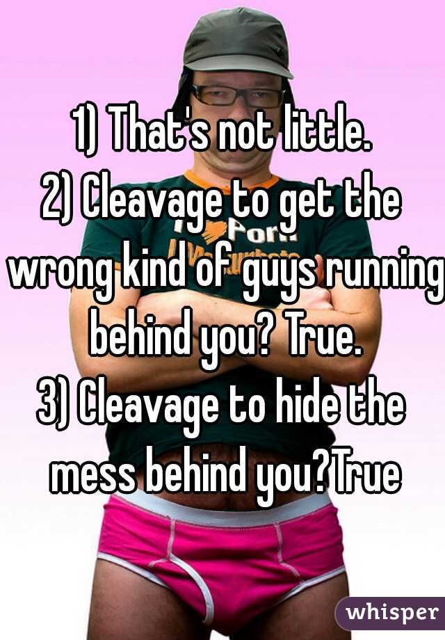 1) That's not little.
2) Cleavage to get the wrong kind of guys running behind you? True.
3) Cleavage to hide the mess behind you?True