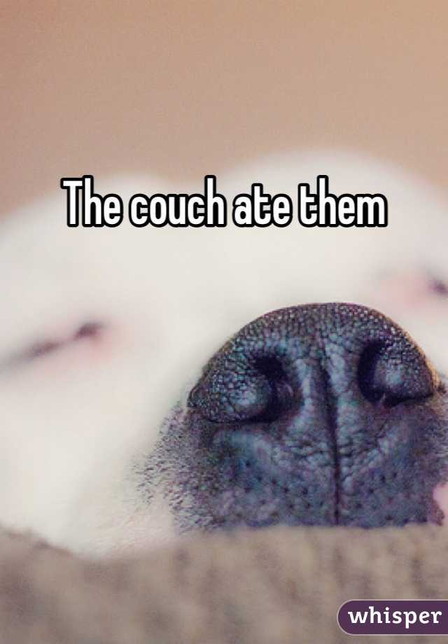 The couch ate them
