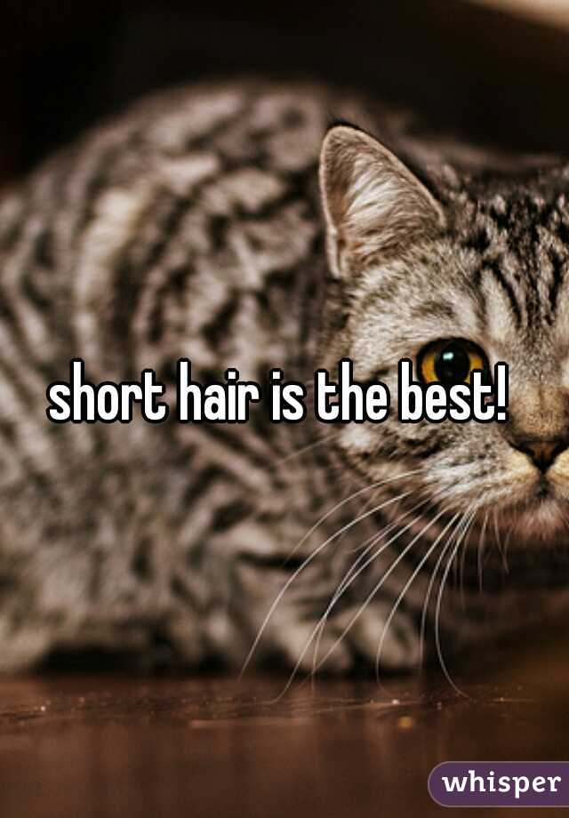 short hair is the best! 