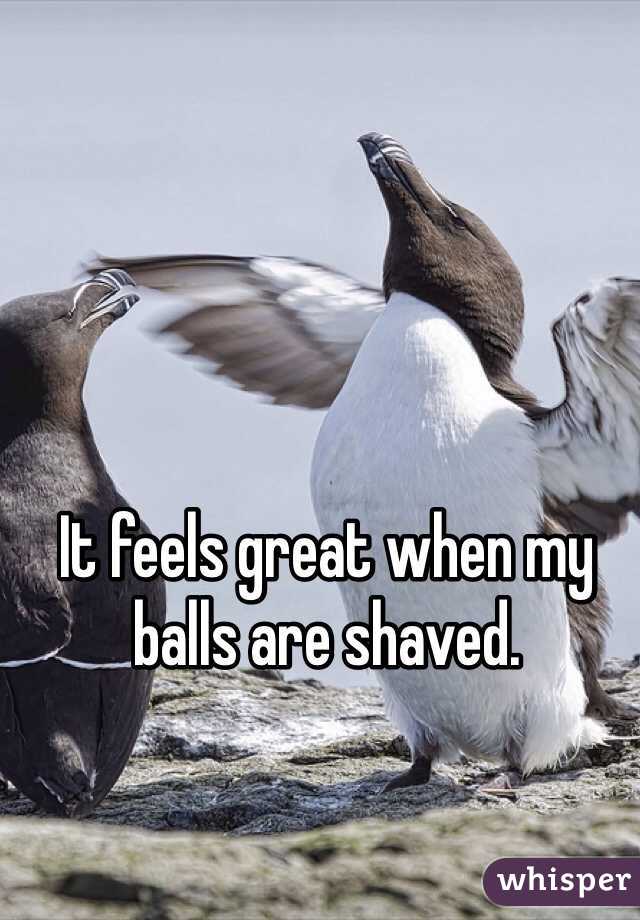 It feels great when my balls are shaved. 