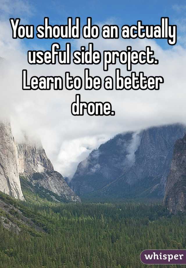 You should do an actually useful side project.
Learn to be a better drone. 