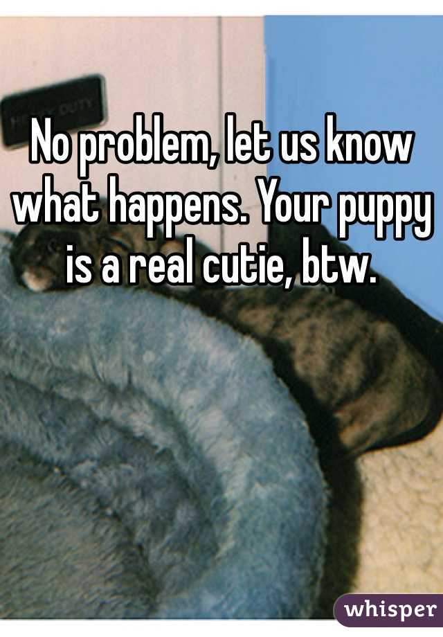No problem, let us know what happens. Your puppy is a real cutie, btw.