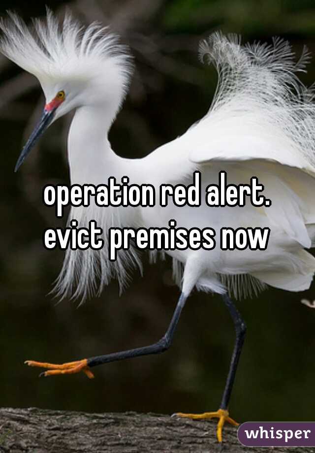 operation red alert.

evict premises now