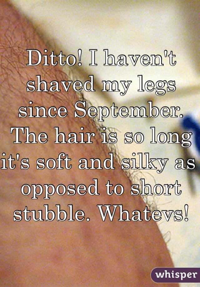 Ditto! I haven't shaved my legs since September. The hair is so long it's soft and silky as opposed to short stubble. Whatevs!