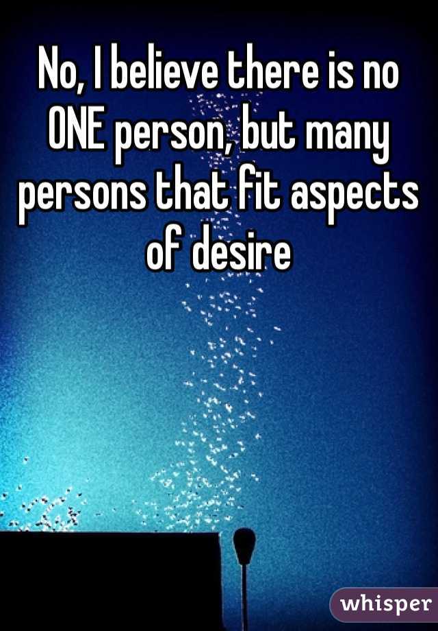 No, I believe there is no ONE person, but many persons that fit aspects of desire
