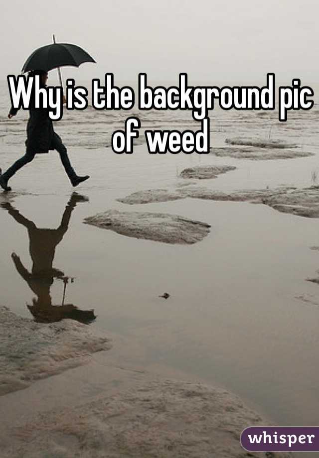 Why is the background pic of weed