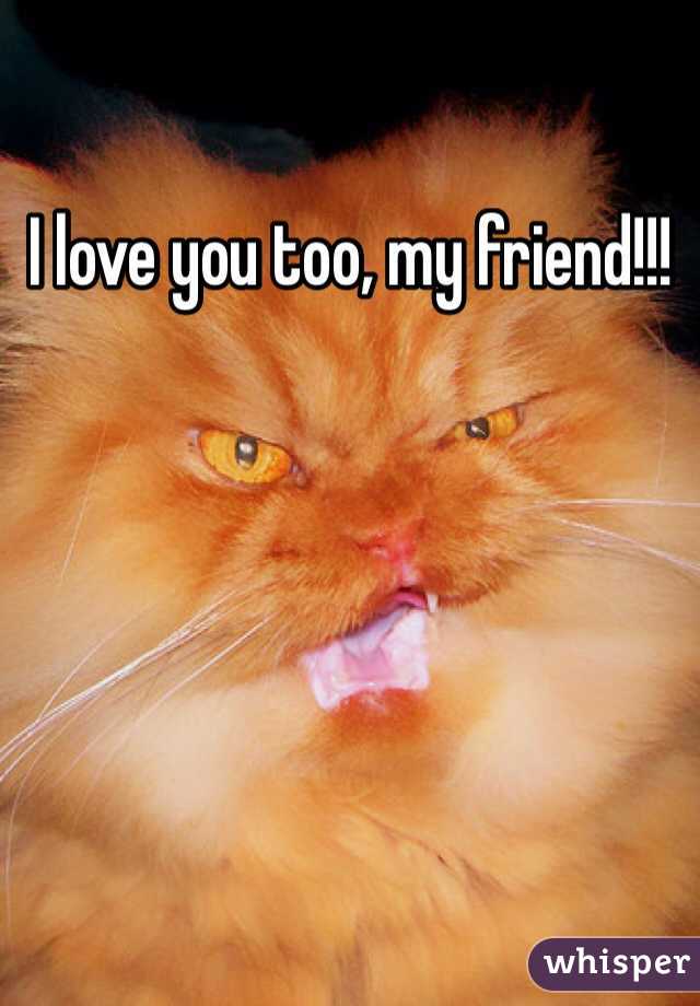 I love you too, my friend!!!