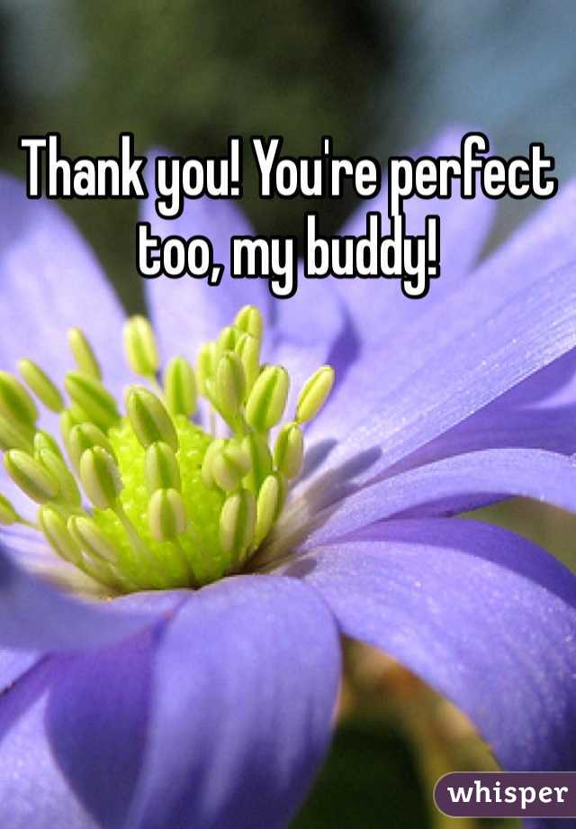 Thank you! You're perfect too, my buddy!
