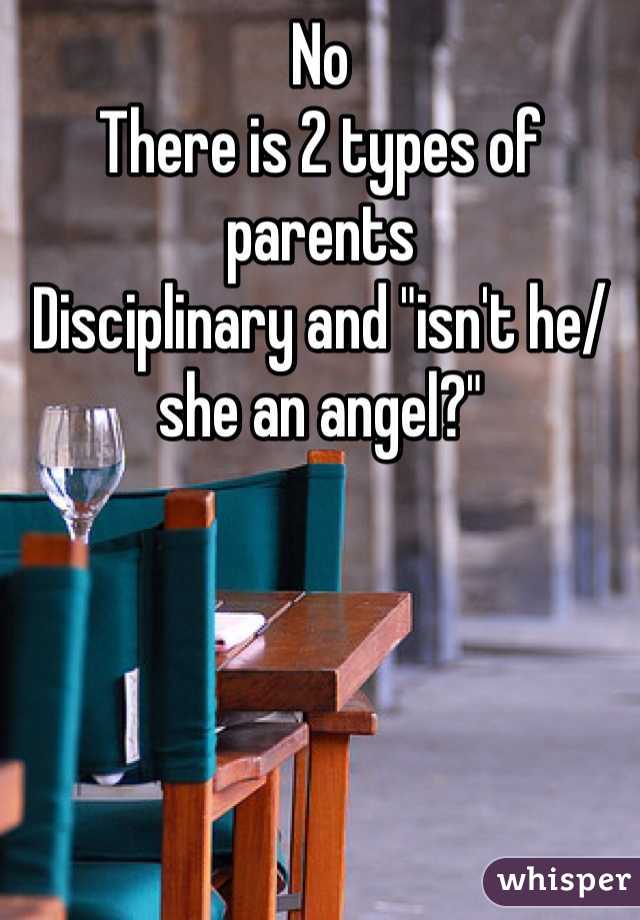 No
There is 2 types of parents
Disciplinary and "isn't he/she an angel?"