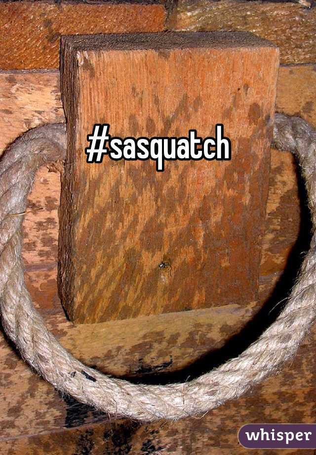 #sasquatch 