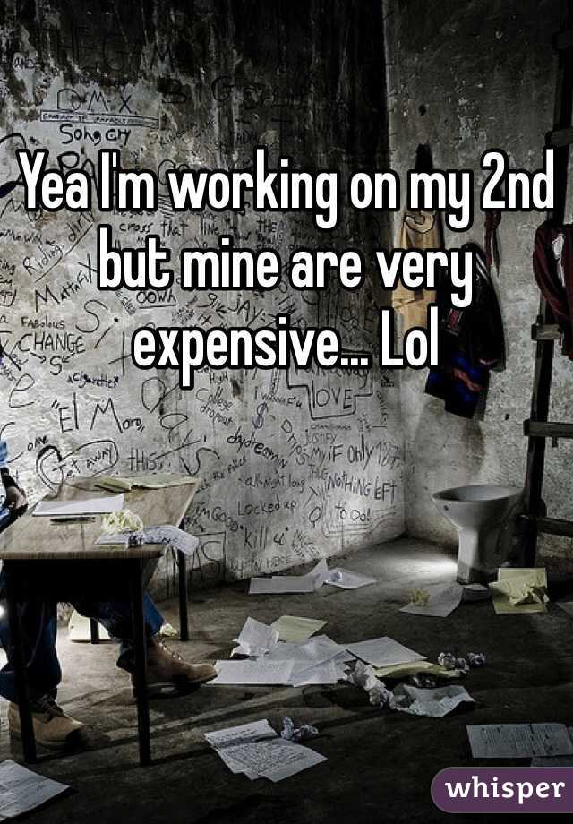 Yea I'm working on my 2nd but mine are very expensive... Lol 