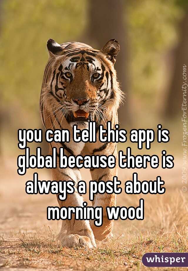 you can tell this app is global because there is always a post about morning wood