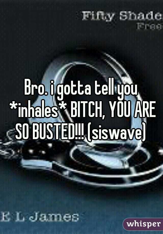 Bro. i gotta tell you *inhales* BITCH, YOU ARE SO BUSTED!!! (siswave) 